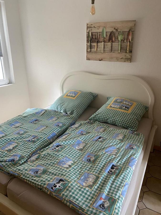 Ferienwohnung Am Gruenen Band, Gretchen Wittingen Eksteriør billede